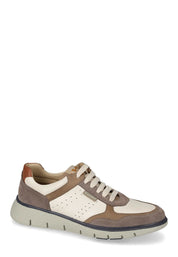 Sneakers Marrone Valleverde