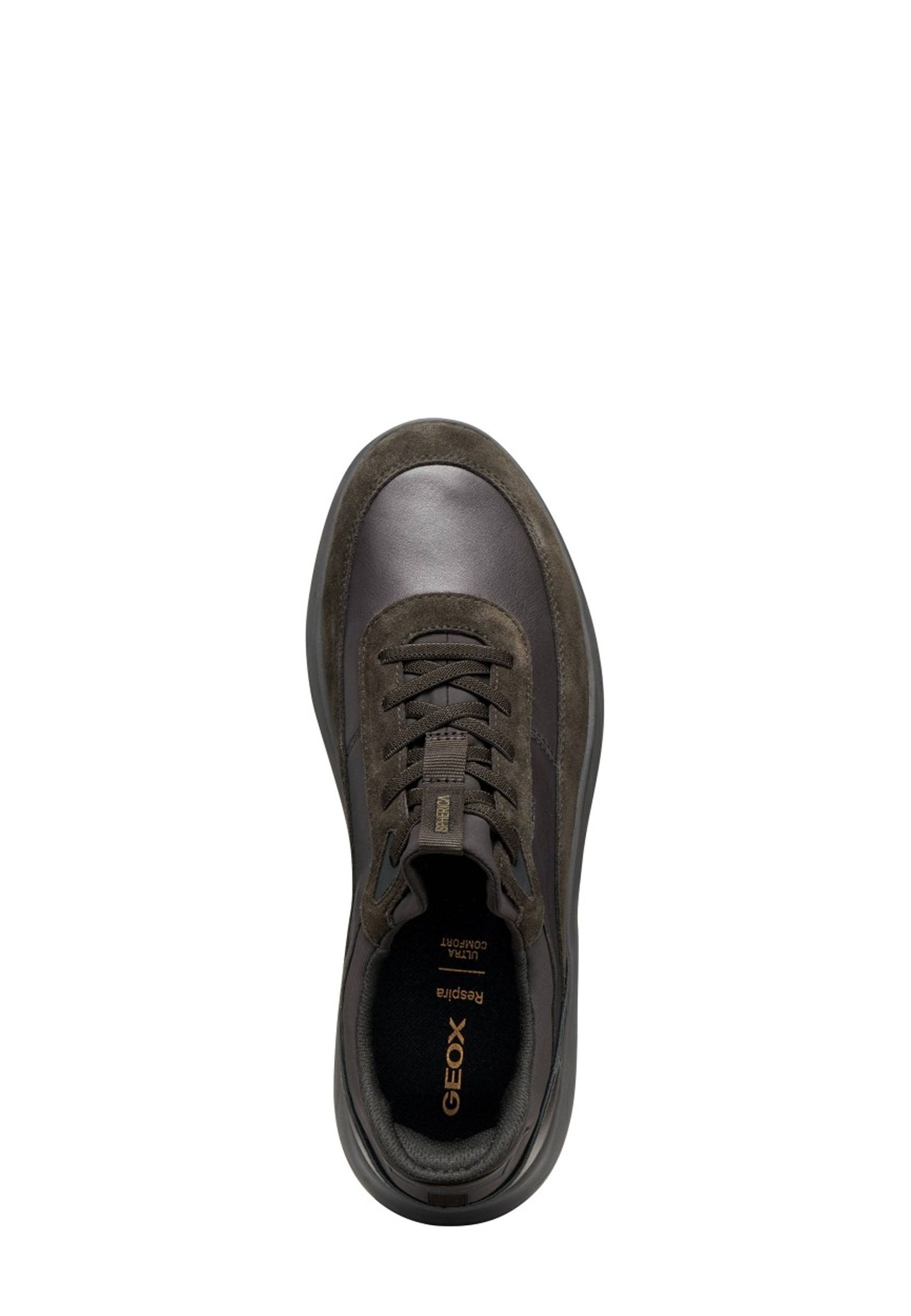 Sneakers Marrone Geox