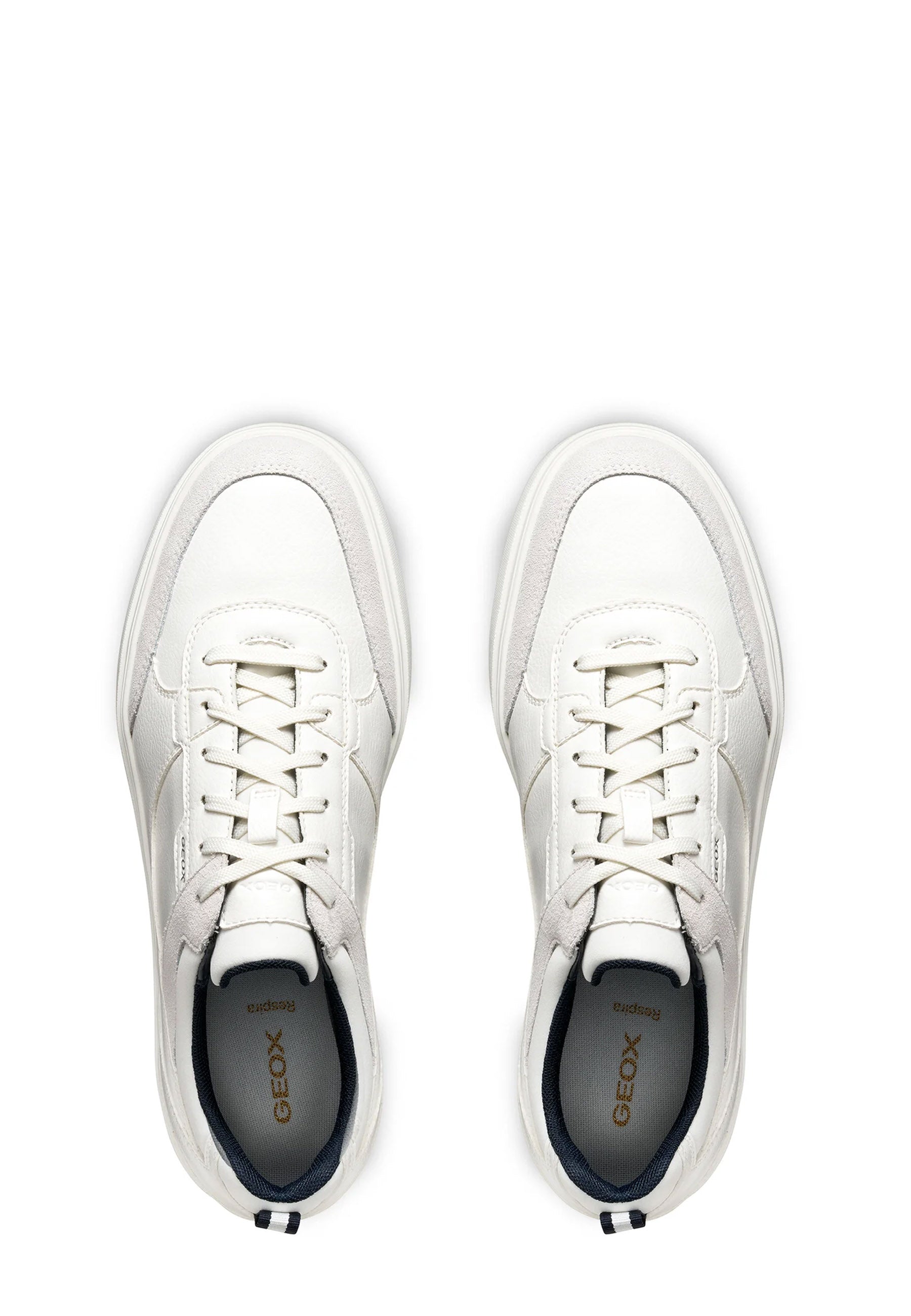 Sneakers Bianco Geox