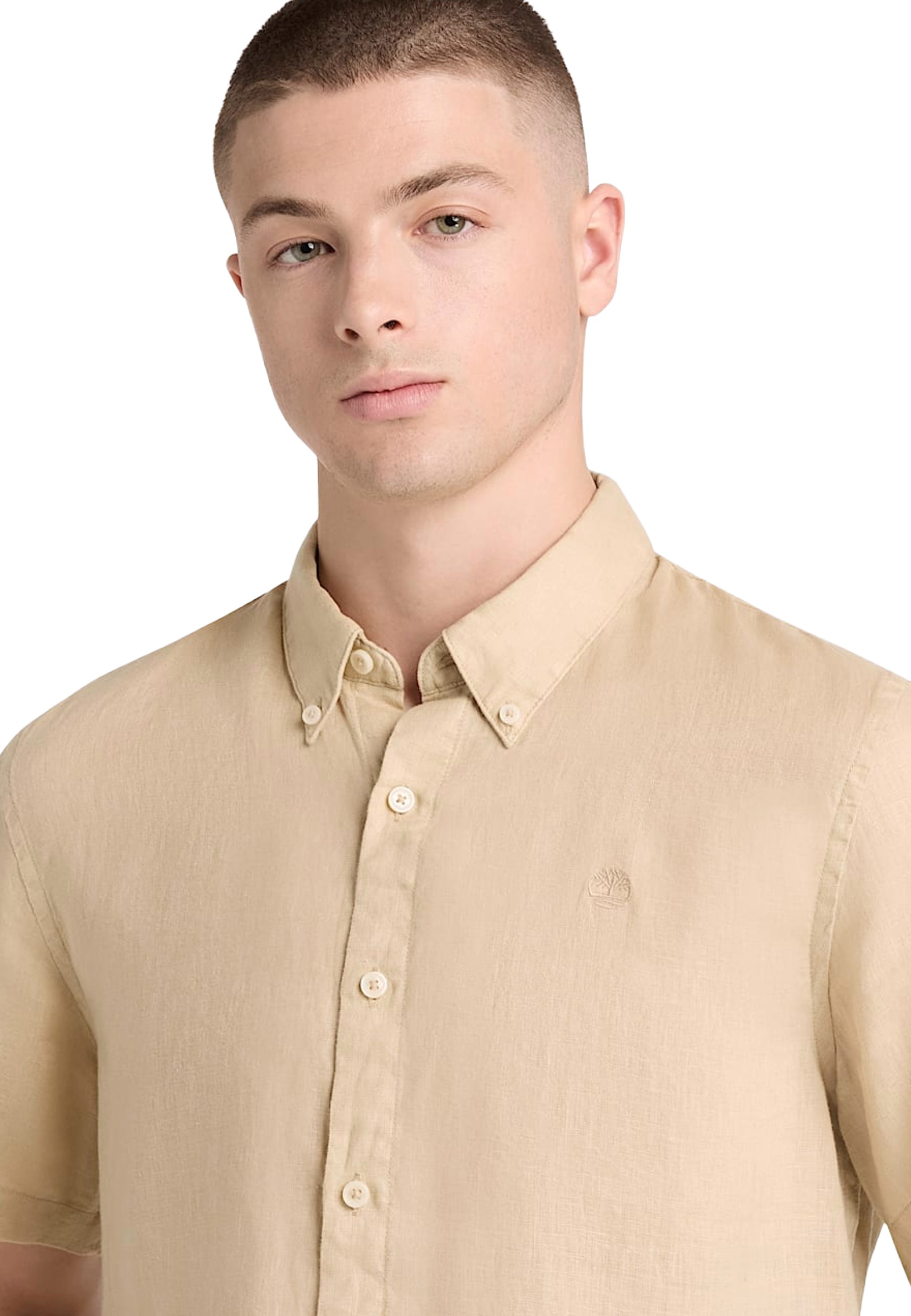 Camicie Beige Timberland