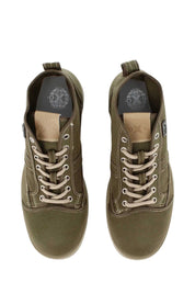 Anfibi Verde Oxs
