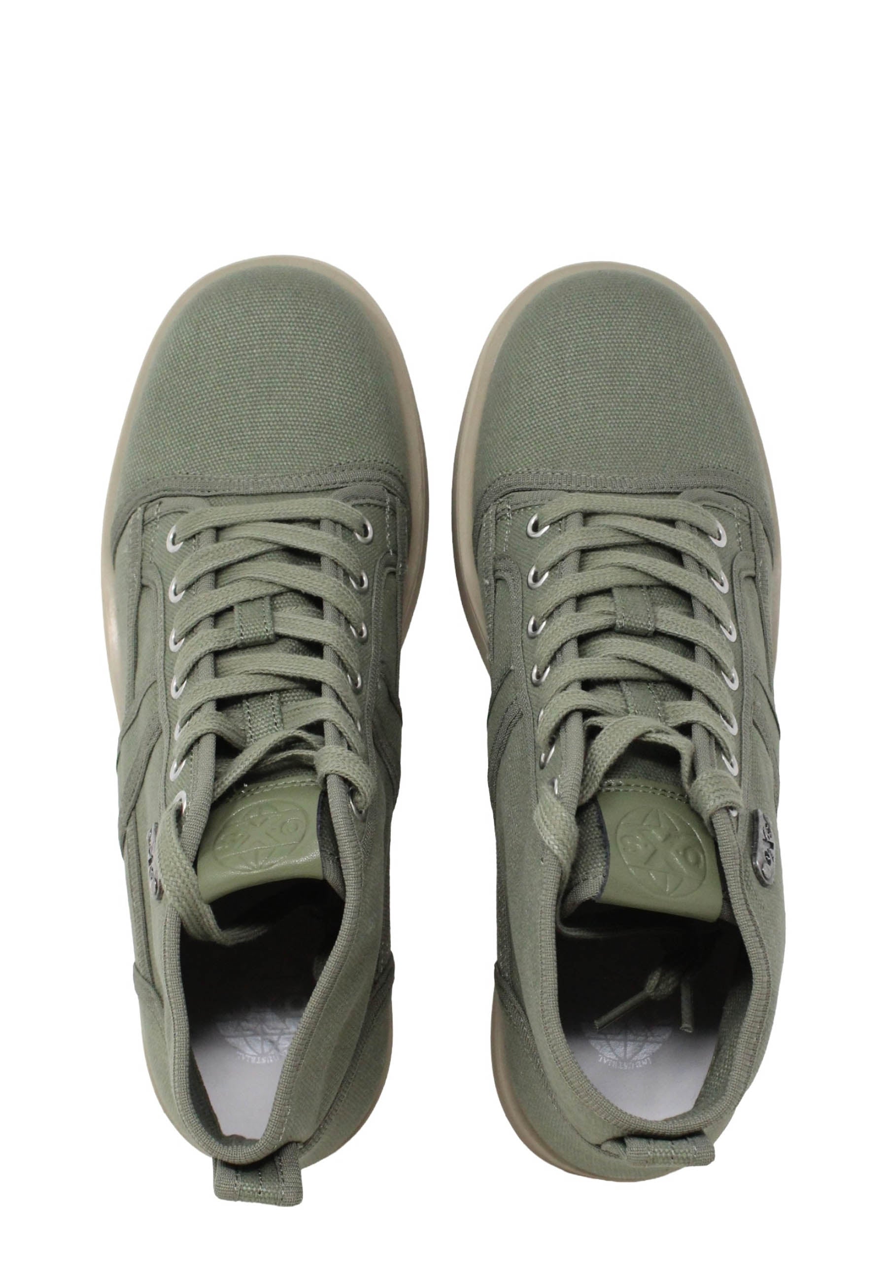 Anfibi Verde Oxs