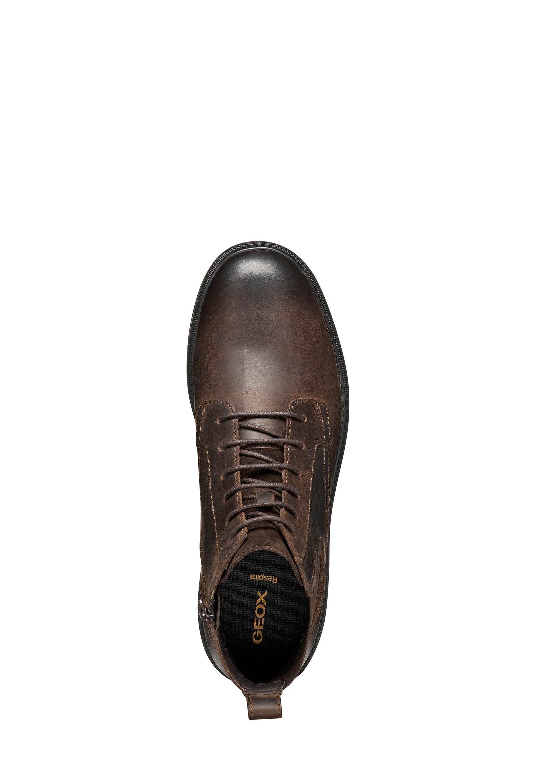 Anfibi Marrone Geox