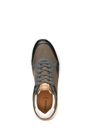Sneakers Marrone Geox