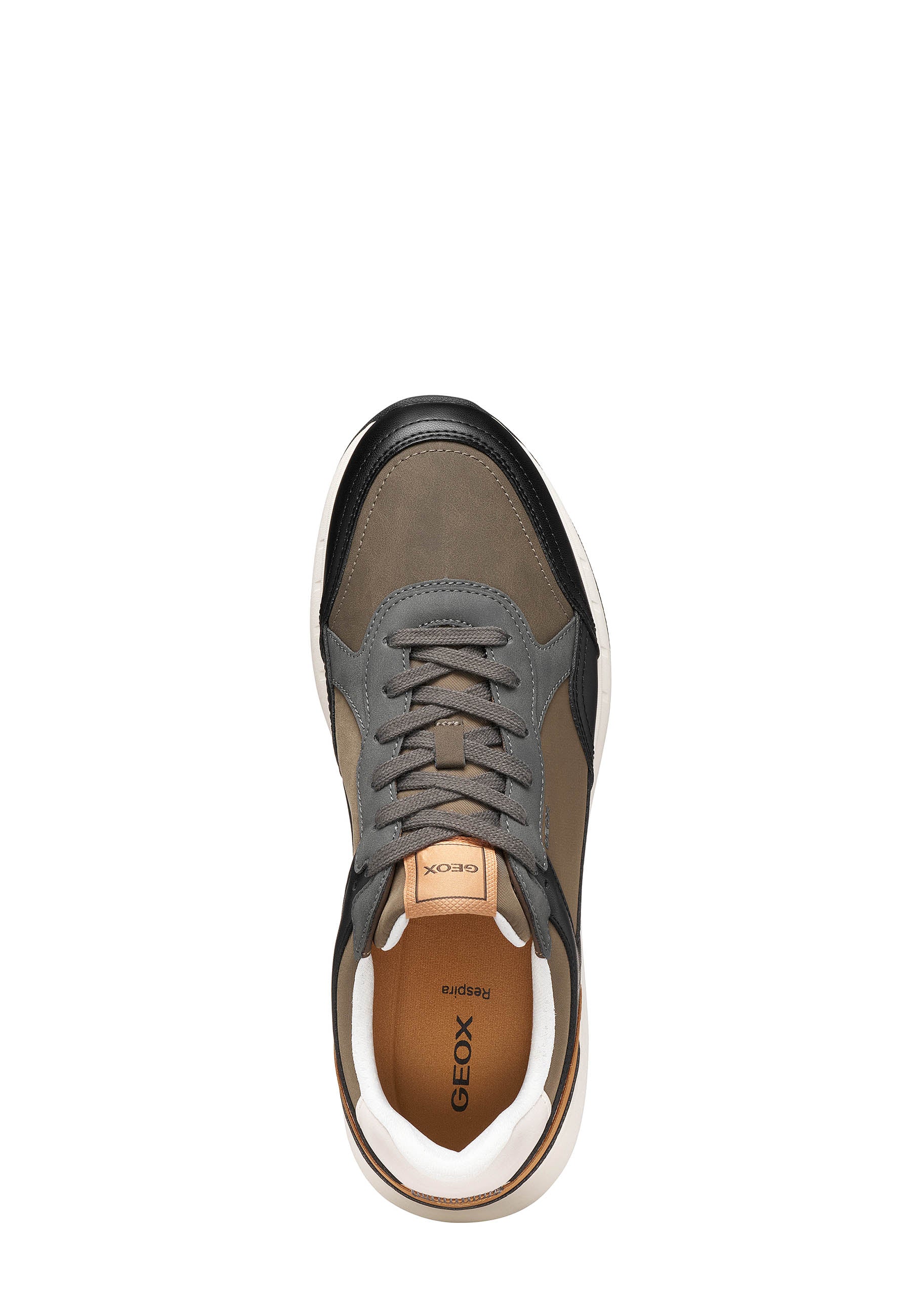 Sneakers Marrone Geox