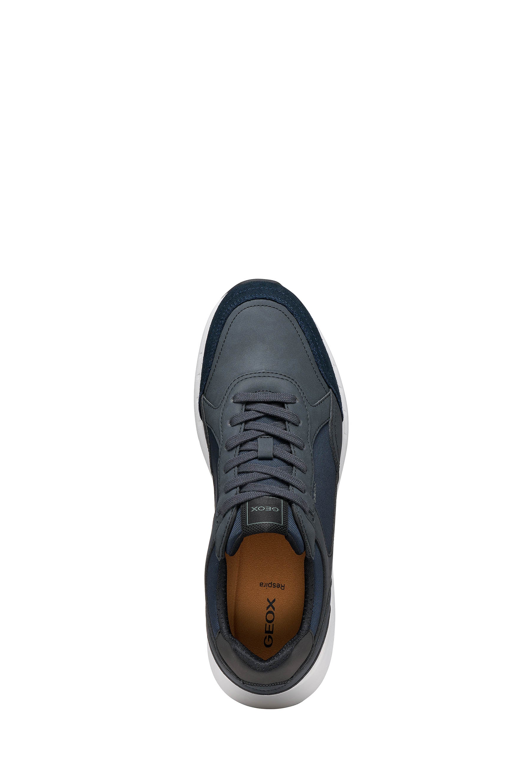 Sneakers Blu Geox