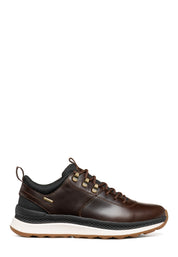 Sneakers Marrone Geox