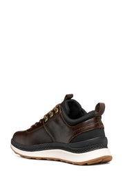 Sneakers Marrone Geox