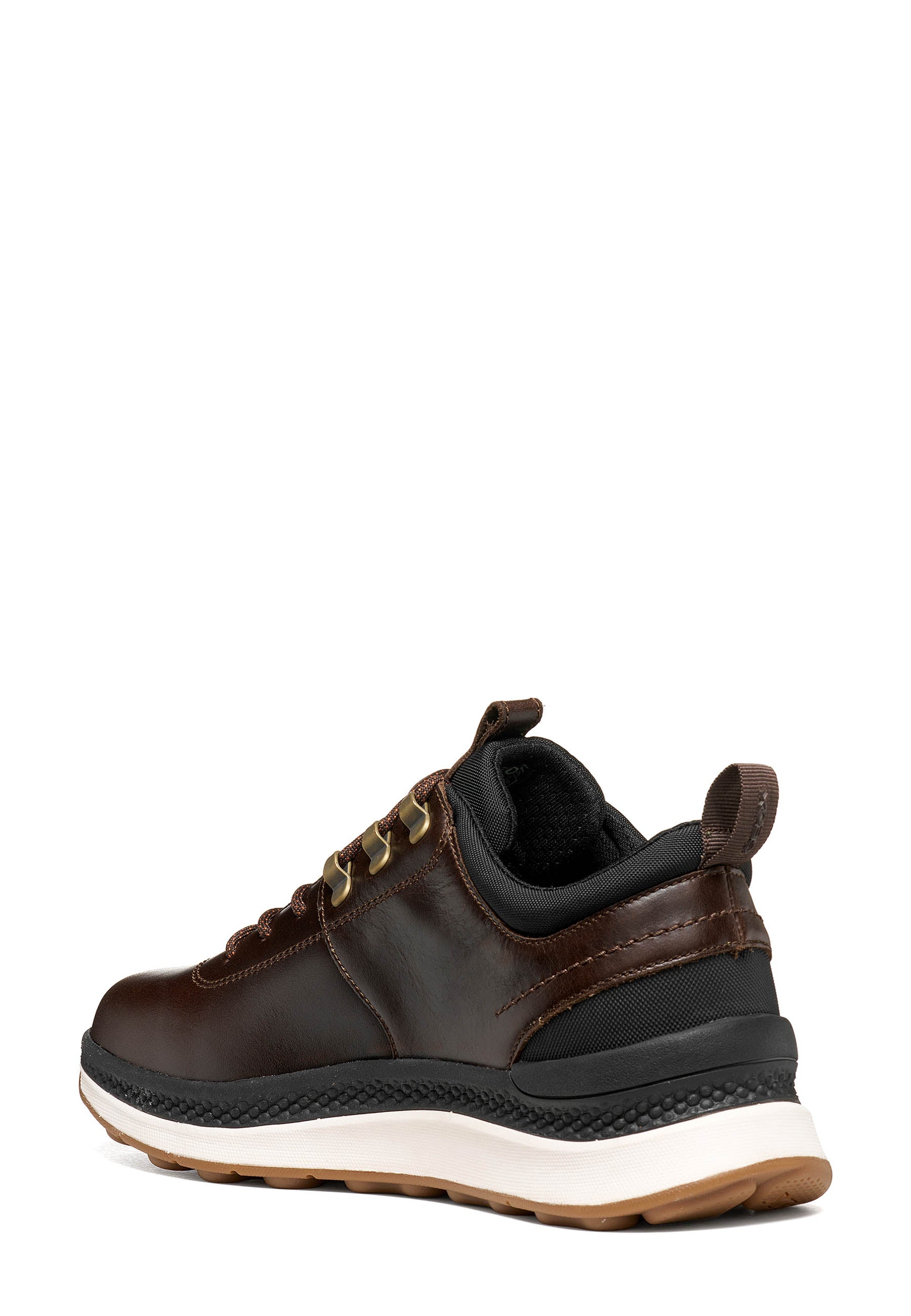 Sneakers Marrone Geox