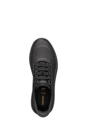 Sneakers Grigio Geox