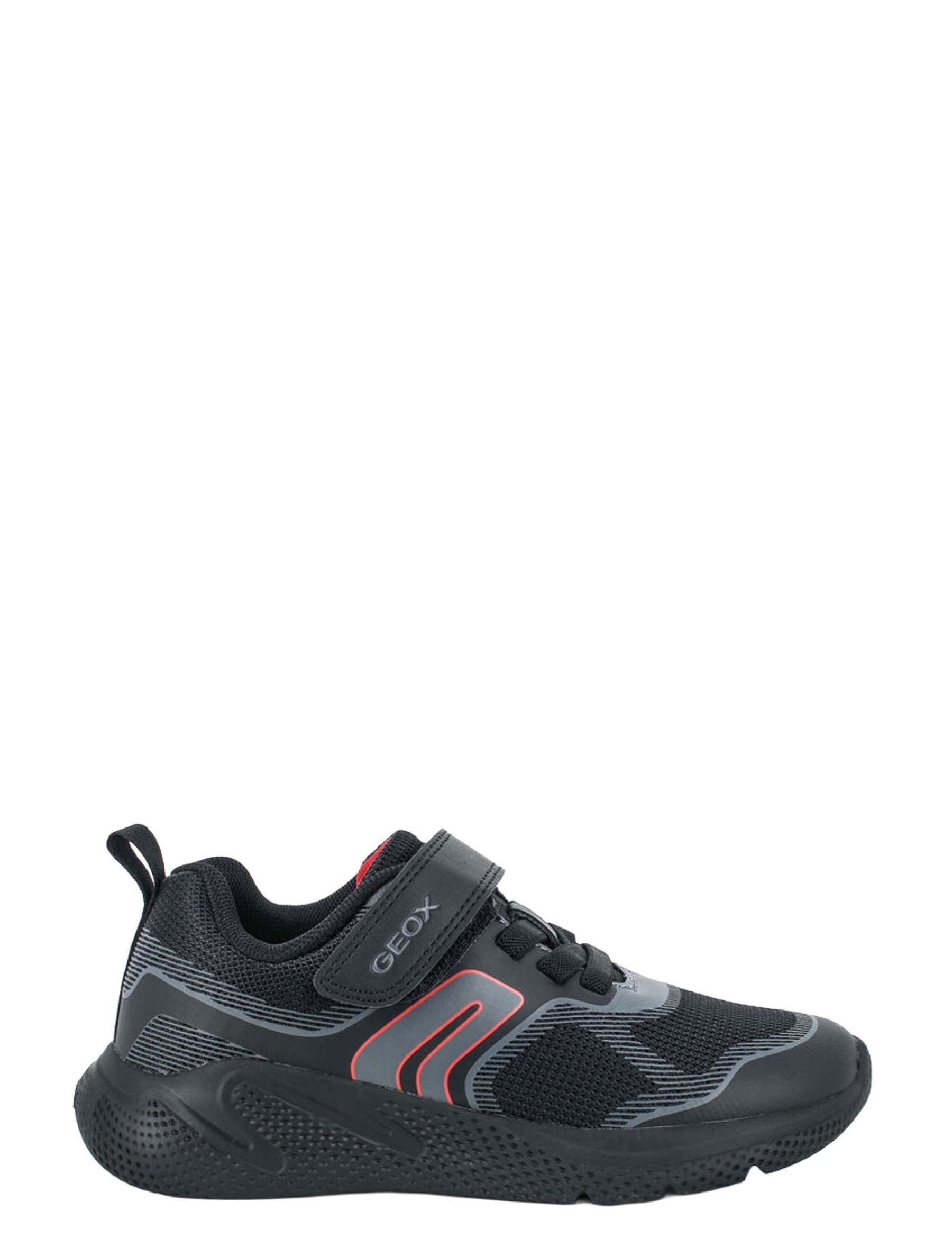 Scarpe con strappi Nero Geox