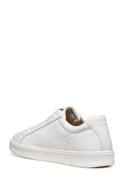 Sneakers Bianco Geox