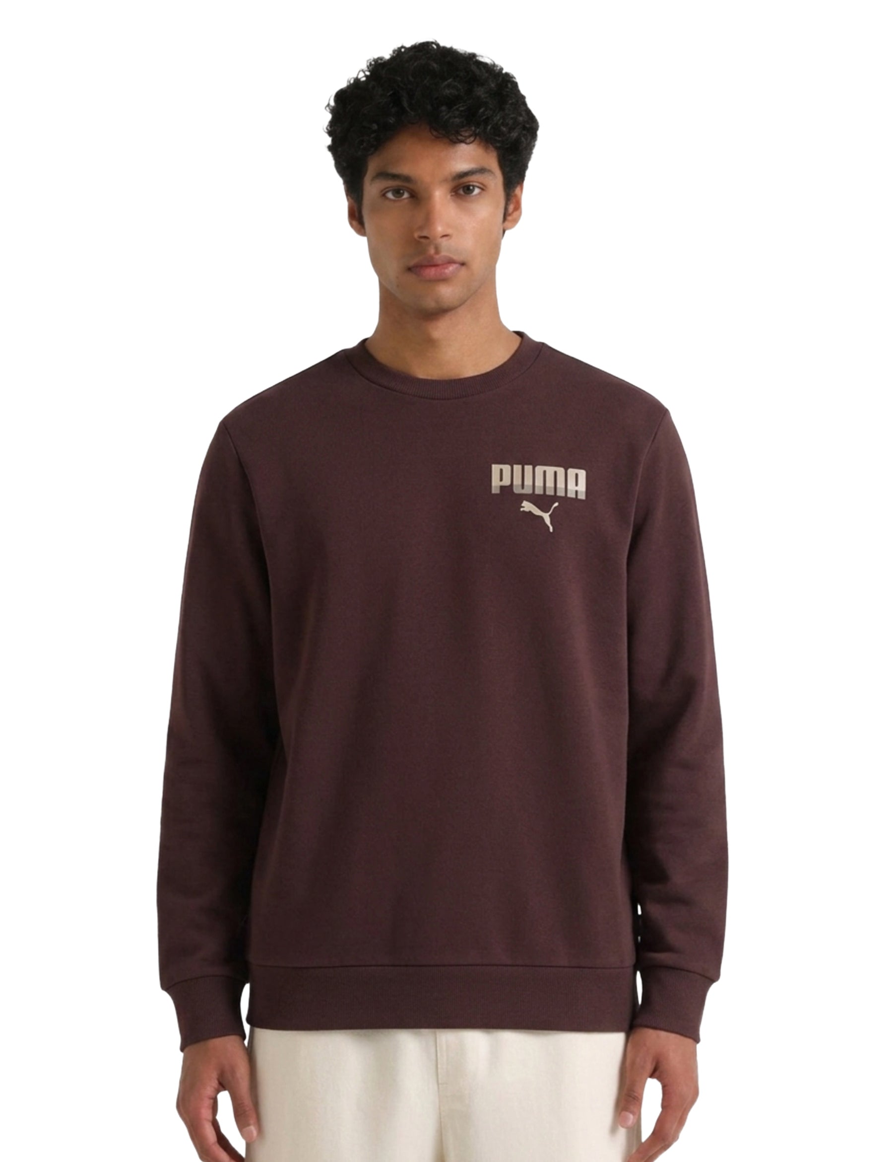 Felpe Marrone Puma