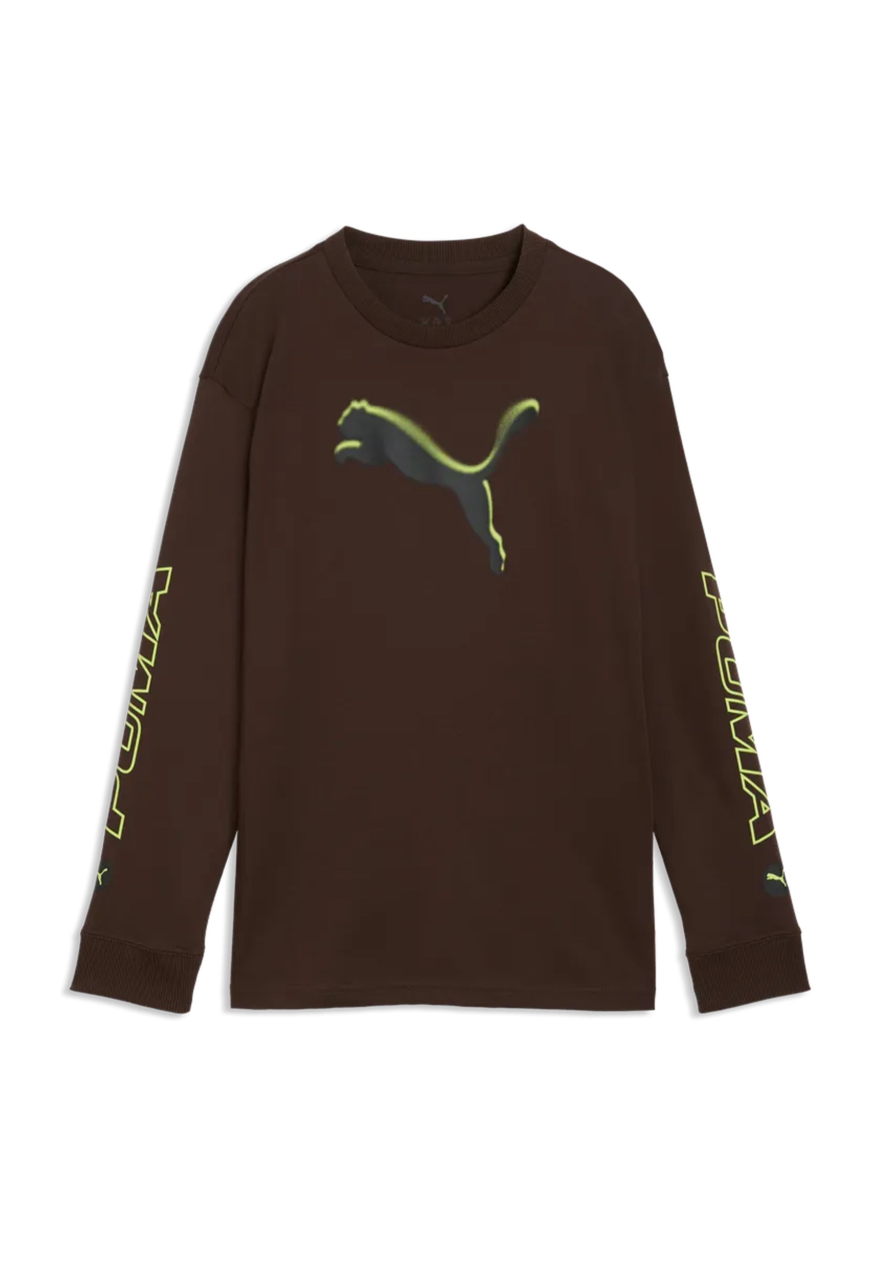 Felpe Marrone Puma