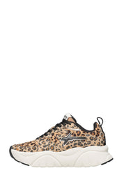 Sneakers Marrone W6yz