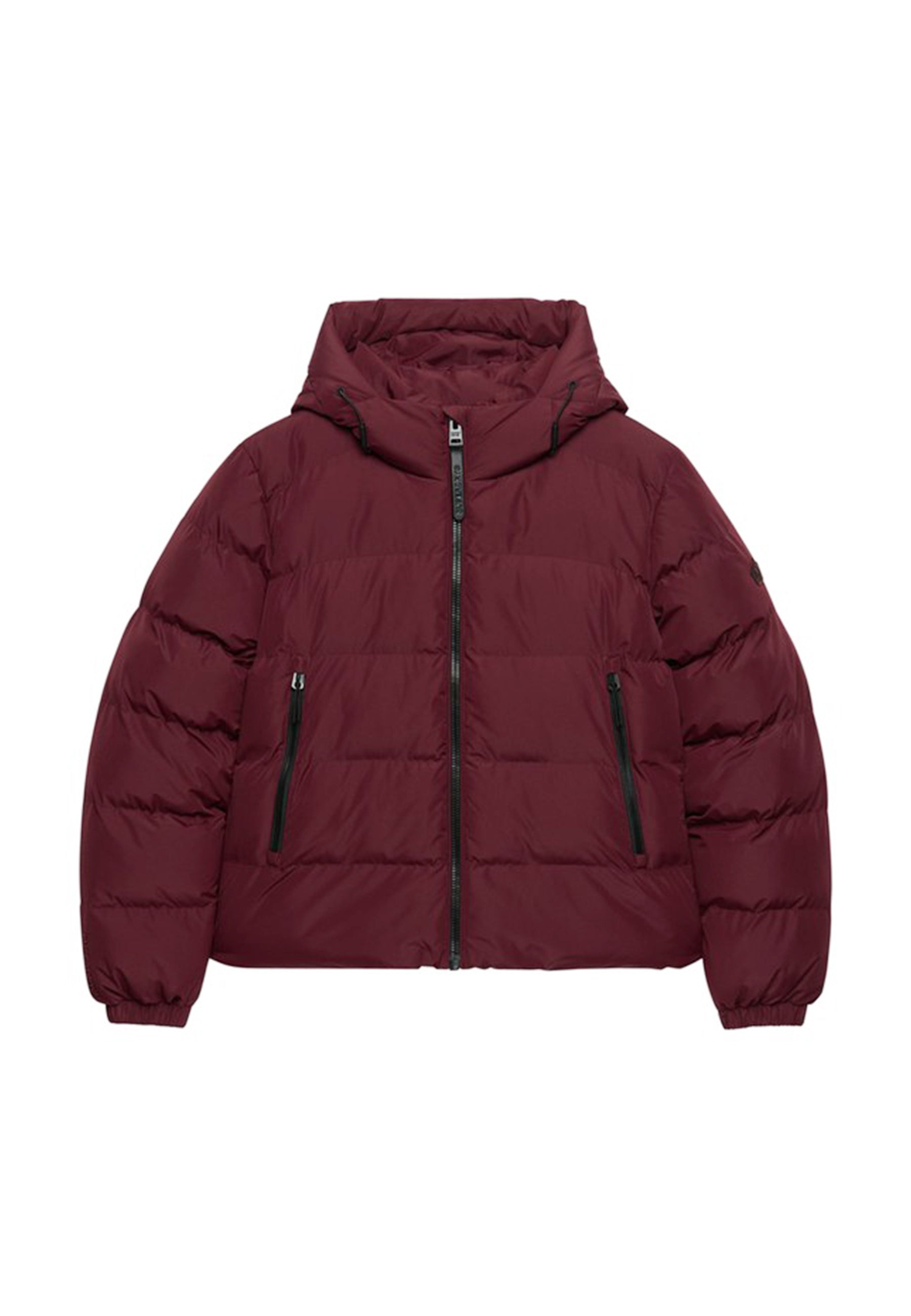 Piumini Bordeaux Superdry