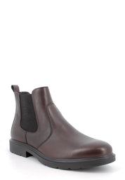 Stivaletti Marrone Igi&co