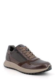 Sneakers Marrone Igi&co