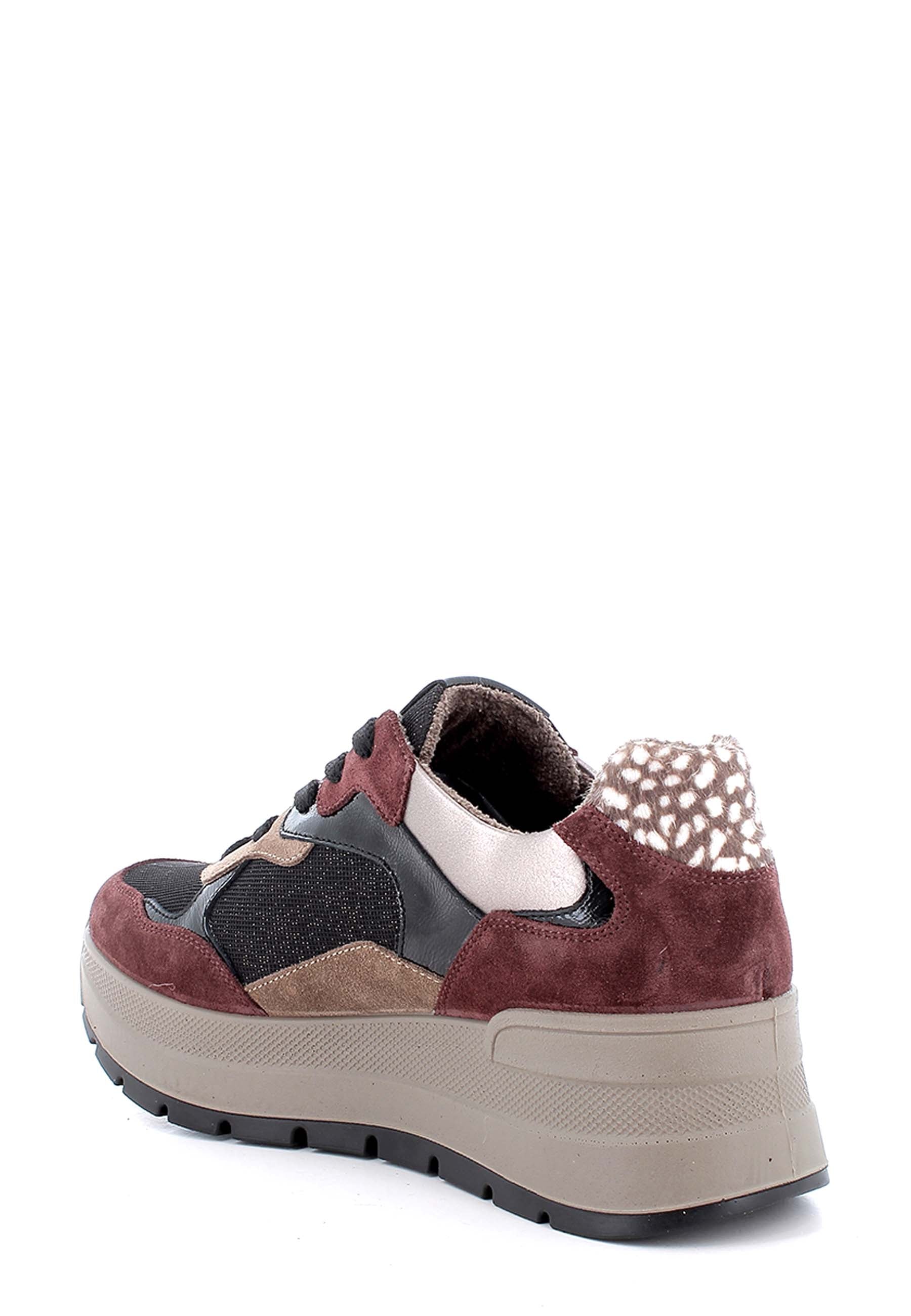 Sneakers Bordeaux Igi&co