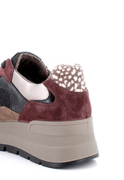 Sneakers Bordeaux Igi&co