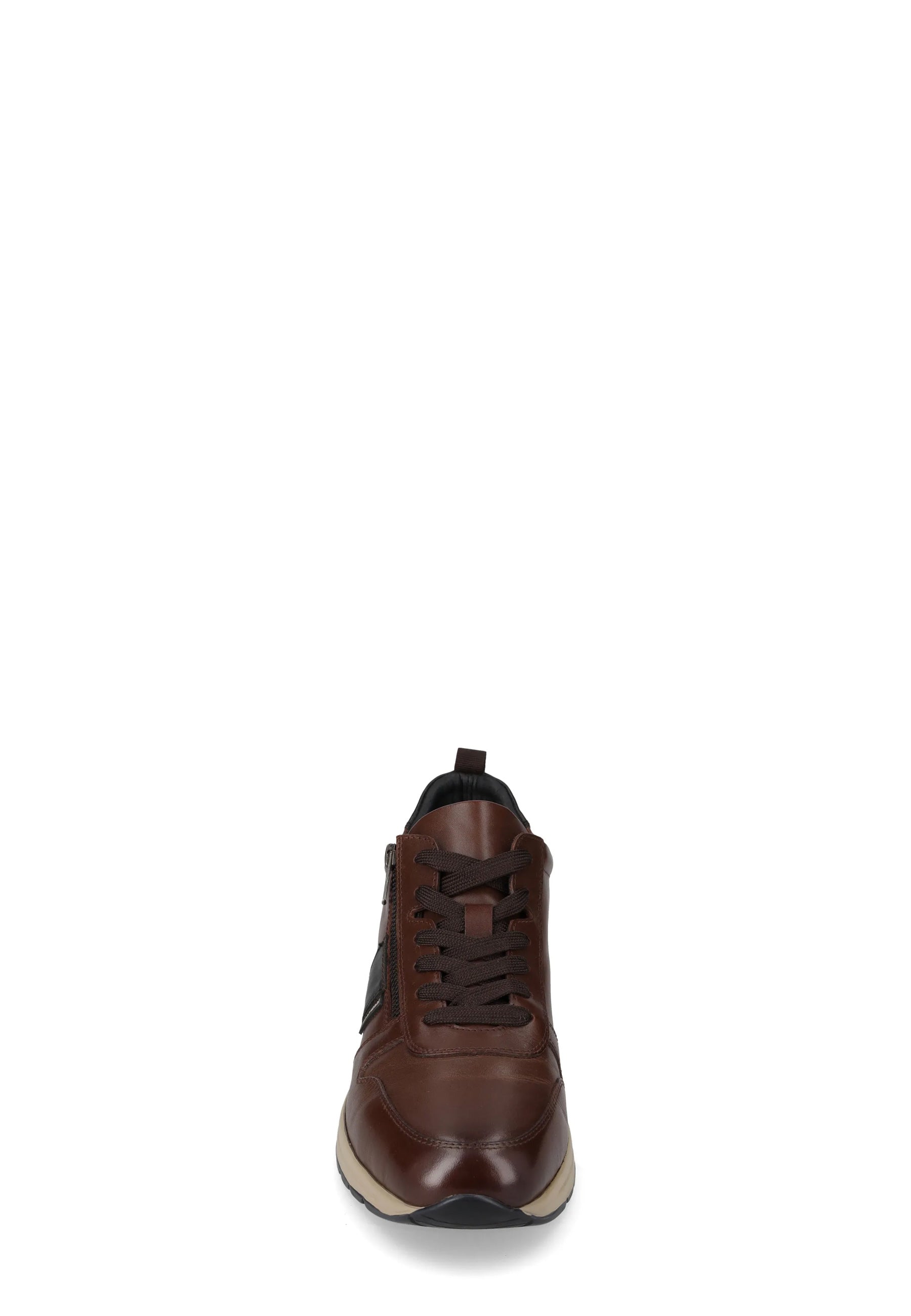 Sneakers Marrone Valleverde