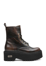 Anfibi Marrone Cult
