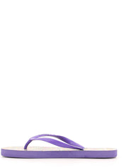 Infradito Viola Gio Cellini