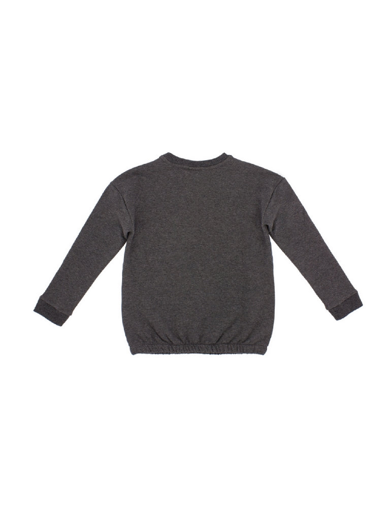 Felpe Grigio Primigi