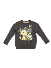 Felpe Grigio Primigi