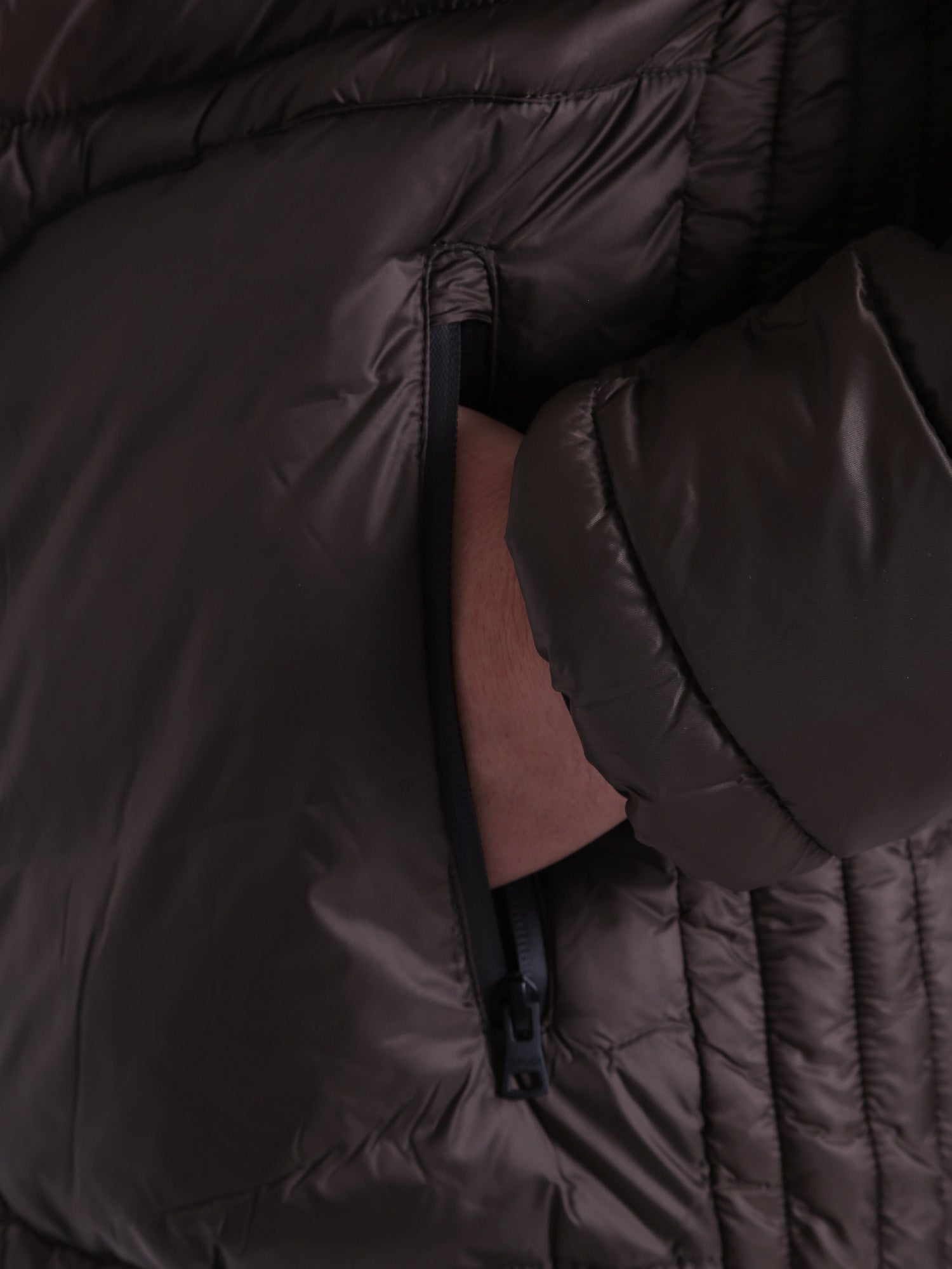 Piumini Marrone Gaudi Jeans