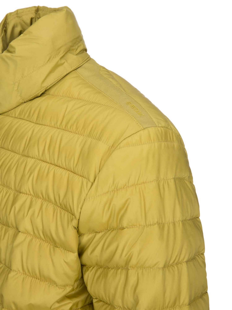 Piumini Giallo Geox