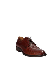 Francesine Marrone Stonefly