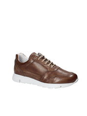 Sneakers Marrone Exton