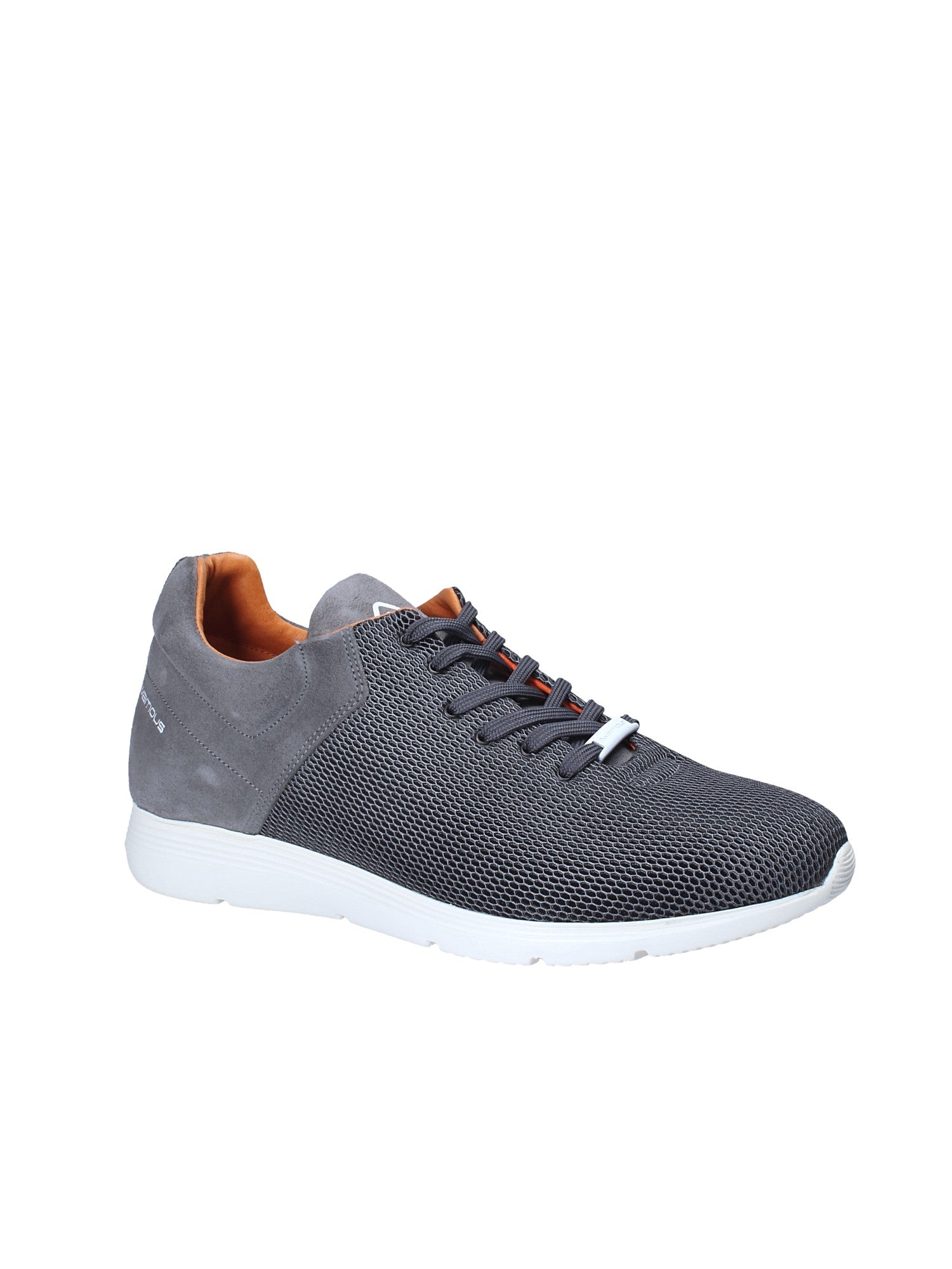 Sneakers Grigio Ambitious