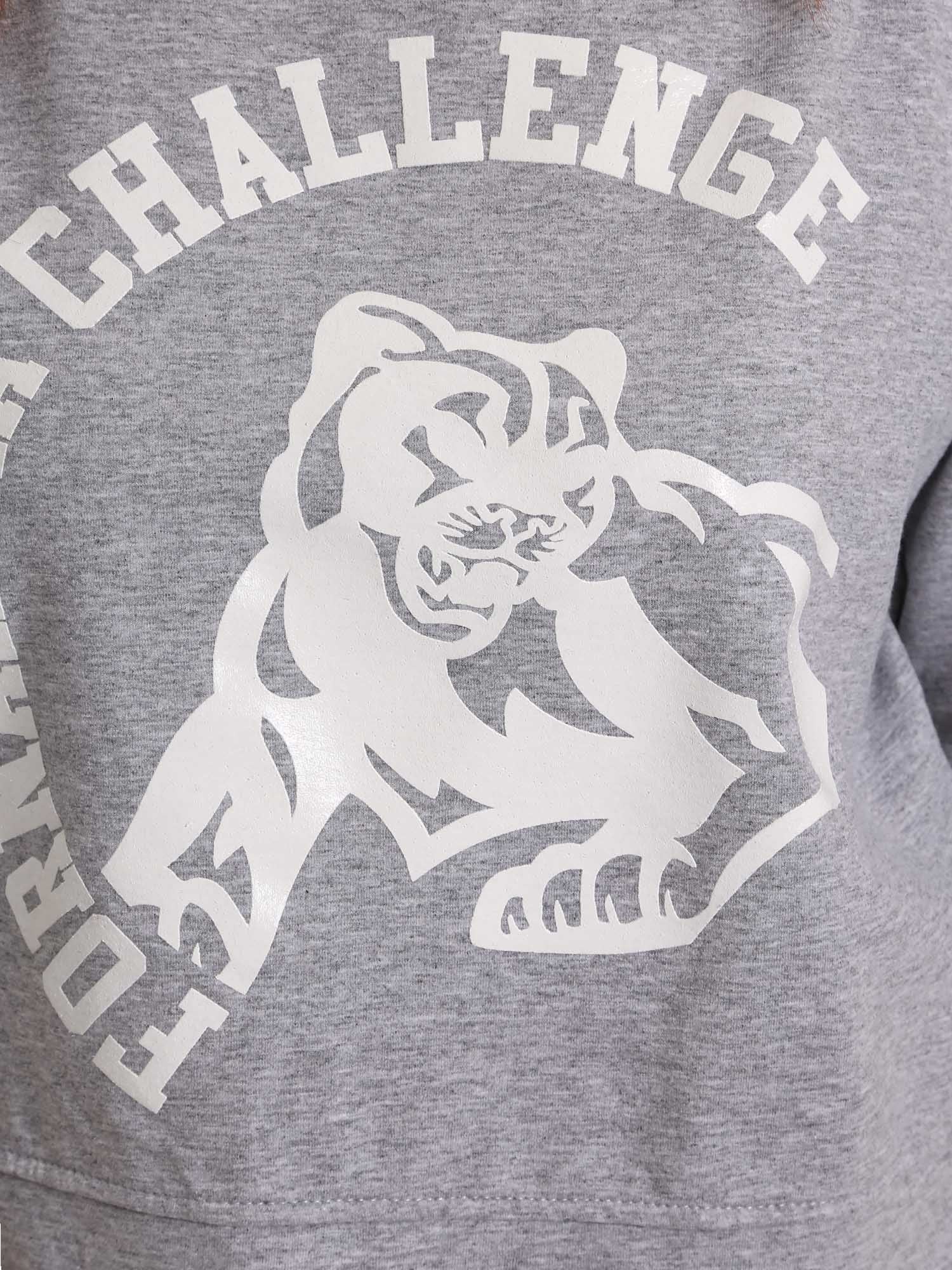 Felpe Grigio Fornarina