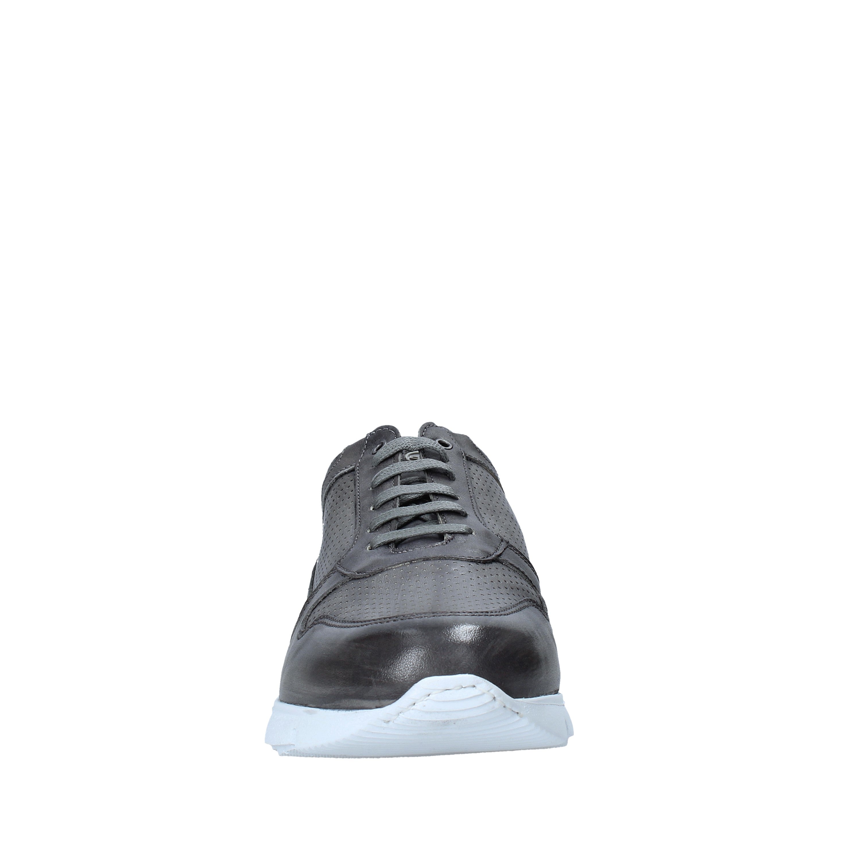 Sneakers Grigio Sasso Exton