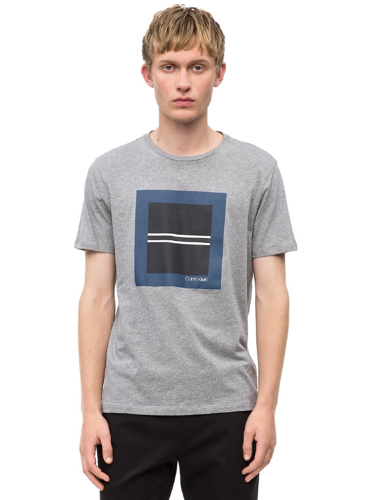 T-shirt Grigio Calvin Klein