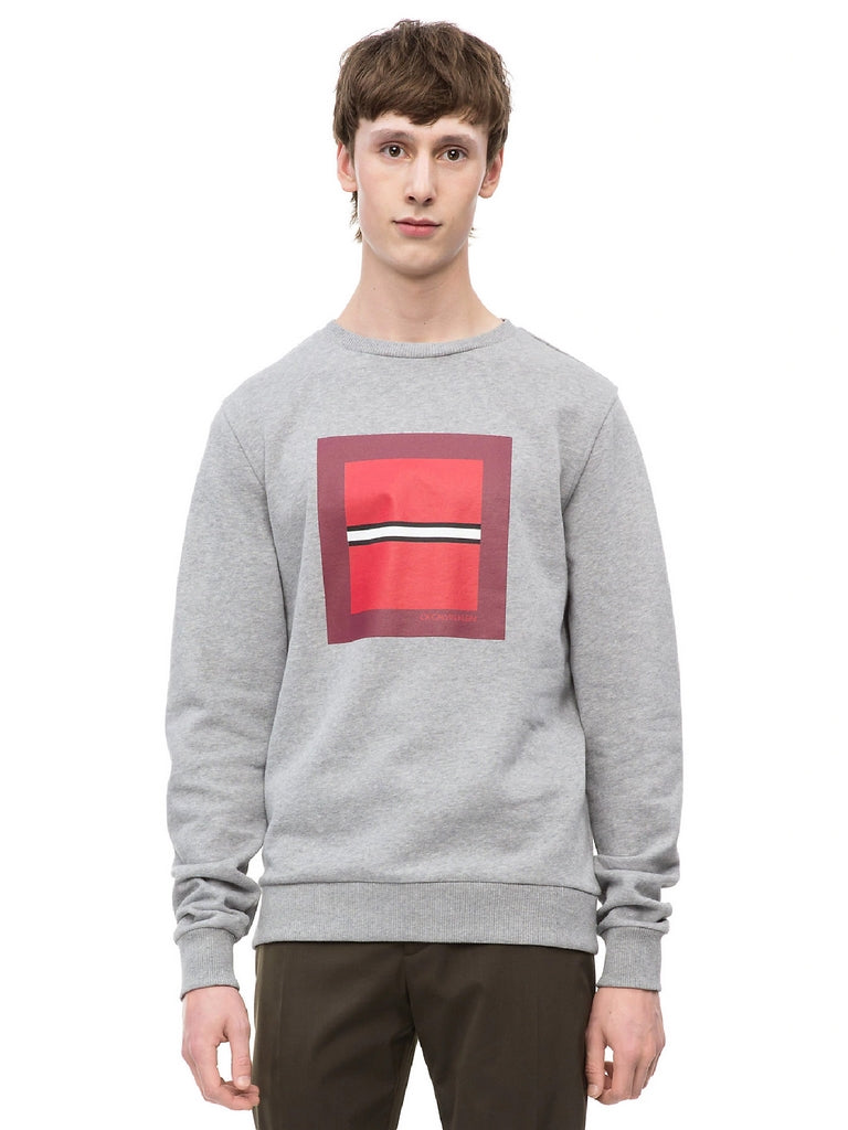 Felpe Grigio Calvin Klein