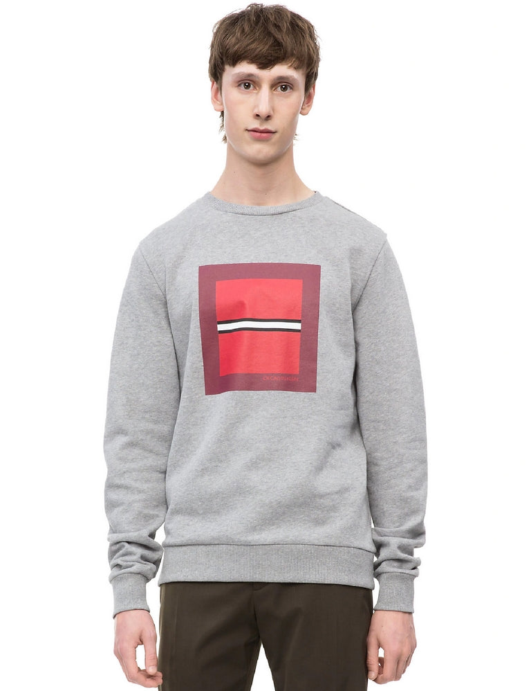 Felpe Grigio Calvin Klein