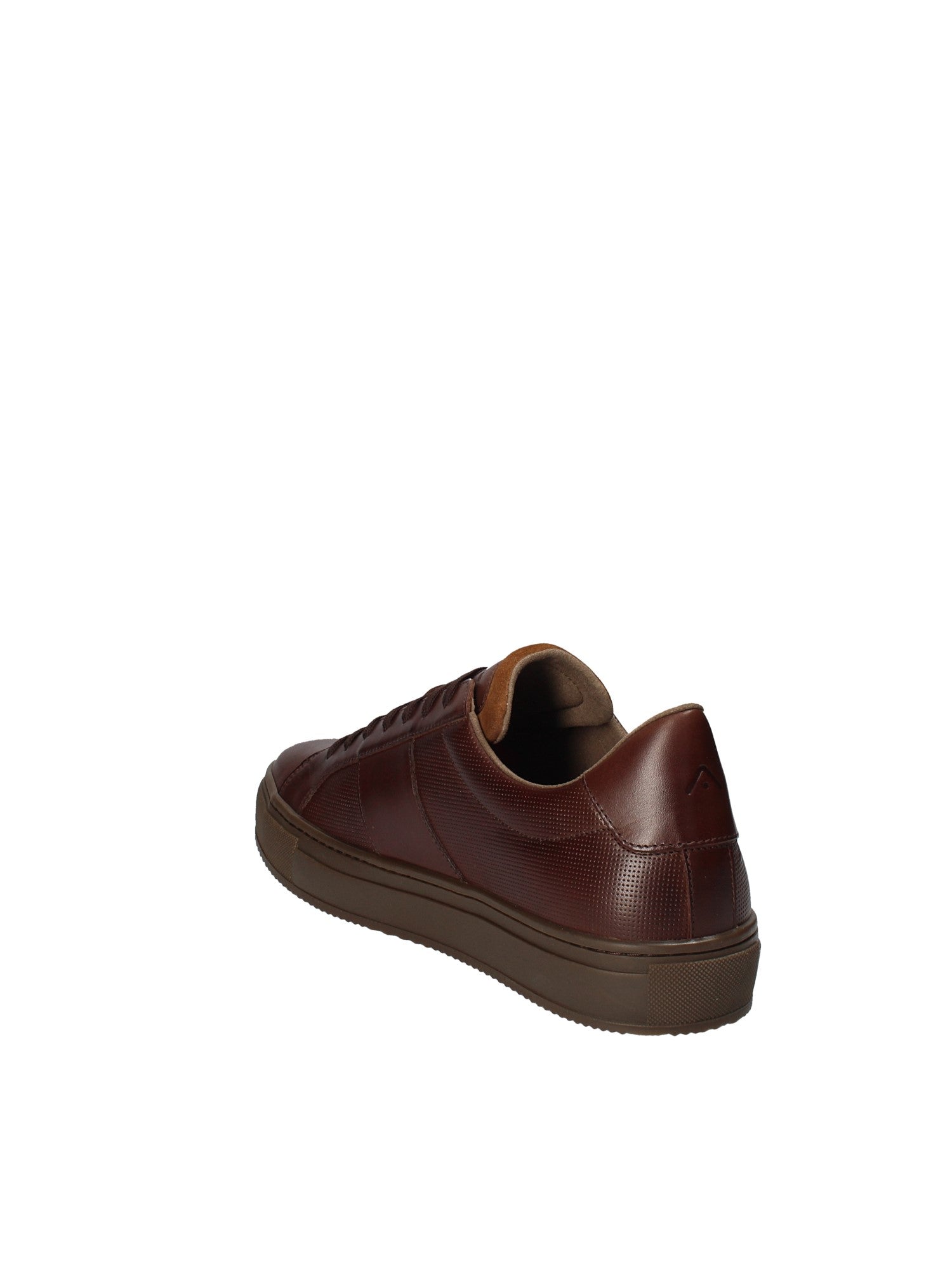 Sneakers Marrone Ambitious