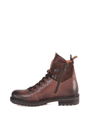 Anfibi Marrone Ambitious