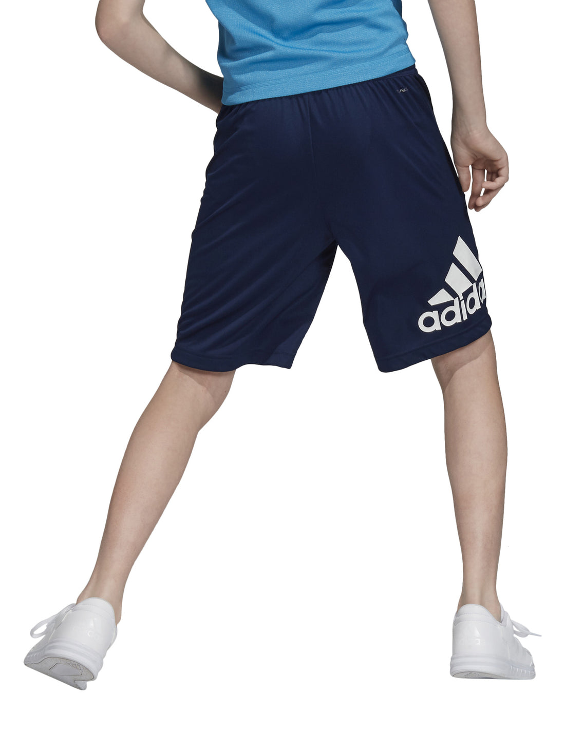 Shorts Blu Adidas Performance