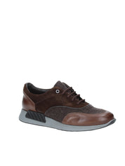 Sneakers Marrone Exton