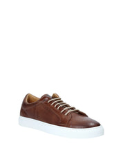 Sneakers Marrone Rogers