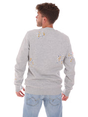 Felpe Grigio Superdry