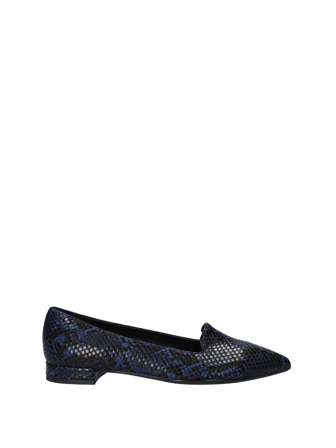 Ballerine Blu Grace Shoes