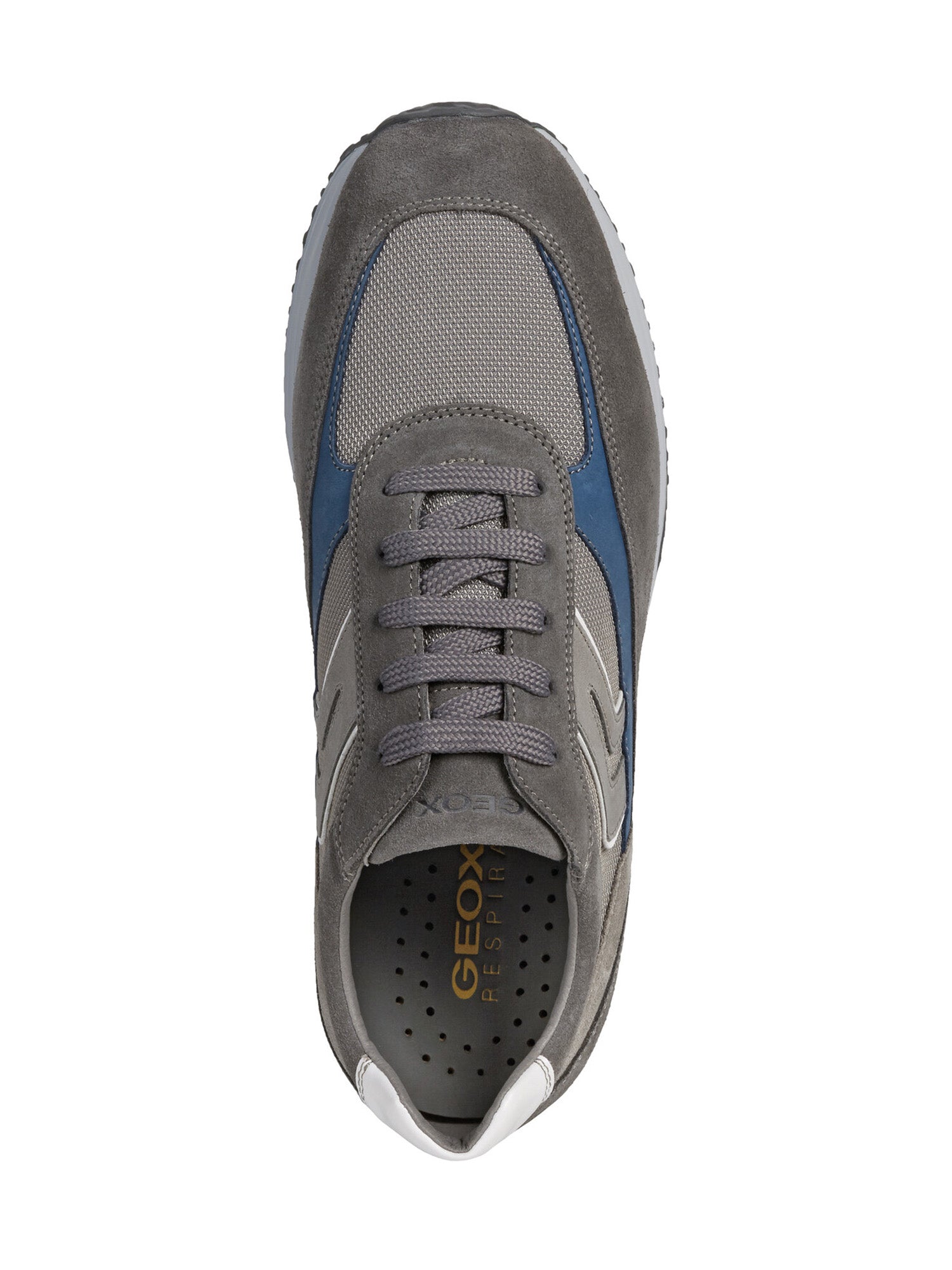 Sneakers Grigio Geox