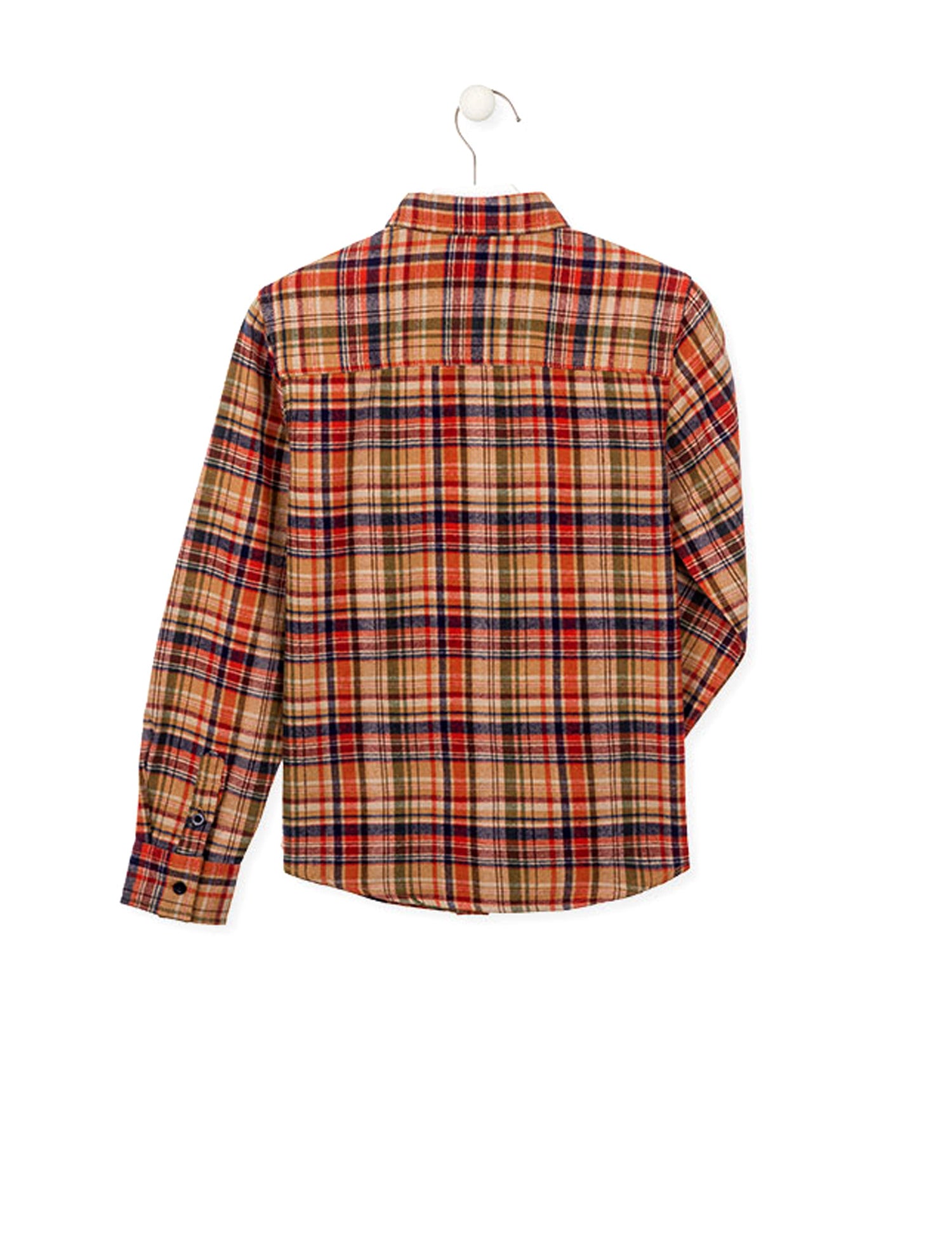 Camicie Marrone Losan