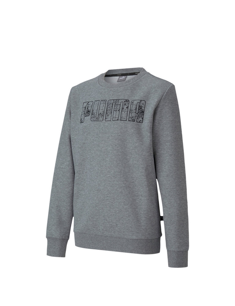 Felpe Grigio Puma