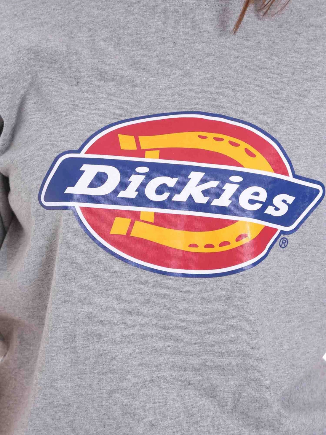 T-shirt Grigio Dickies